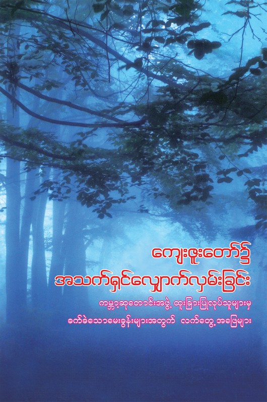 Parallax Image